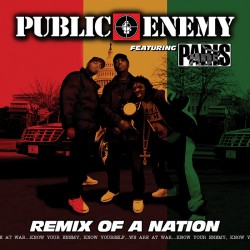 Public Enemy Feat. Paris -...